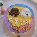 펫푸드스쿨 이미지