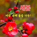 산유화 이미지