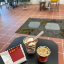 루미나드 이미지