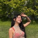 솔라