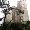 수원-1279 이미지