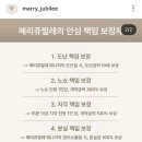 5)축의대: 메리쥬빌레 계약 후기 (짝꿍 코드: LSR260912)