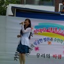설미 이미지
