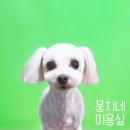 뭉치네 미용실 이미지