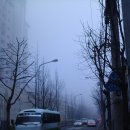 2002무도장 이미지