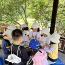 실내초병설유치원 이미지