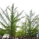 못골경로당 이미지