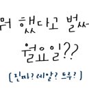 홀섬 민박 이미지