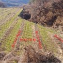 고제면 봉계리 이미지