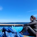 물꽃정원 이미지