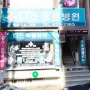 디스동물병원