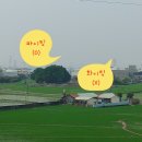 이든 F&O 이미지