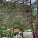 장천마을캠핑장 이미지