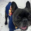 도기다이닝 이미지