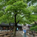 [강화도 맛집] 전등사 근처 감성 카페 ‘죽림다원’ 솔직 후기 / 강화여행 비오는날 방문추천