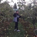 호박목장 이미지