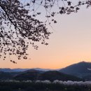 꽃의계절 이미지