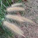 여치공원 이미지