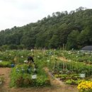 신원동-16 이미지