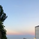 오르칼국수