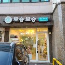 뽀숑뽀숑 이미지