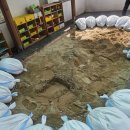 망원어린이집 옥상놀이터 | 대구시 00어린이집 옥상 모래놀이터 모래소독 작업후기