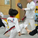 용인대 엘리트 태권도 이미지