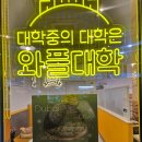 와플러 | 두쫀쿠 시리즈 와플대확 두바이초코와플 후기 비교