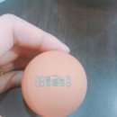 봉골농장 이미지