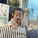 [D+251/8개월] <b>이사</b>와서 이틀만에 <b>통</b>잠자는 아기가 있다?