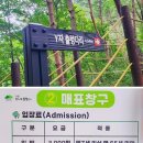 9/28(월)아스타국화축제 버스 올라감 Y다리 트레킹 난이도 하 (거창)출발06시50 이미지
