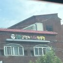 공룡코딱지노래연습장 이미지