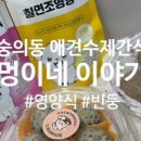 멍이네 이야기 이미지