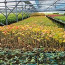 수종목장 이미지