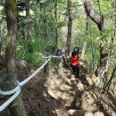 장수 번암막걸리 이미지