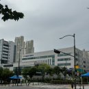 무지성 반복적인 악성 댓글 어떻게 고소 가능한지 ??