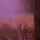 (주)하나노동조합 이미지