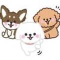 멍뭉이 살롱 이미지