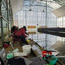 대평낚시터 이미지