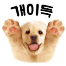 달려라 해피 이미지