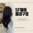 에스에프헤어 - 중구 동성로3길 93 | 동대구역미용실 SF헤어 동대구점 대구신세계백화점 근처 염색잘하는 곳