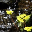 청태산자연휴양림 이미지