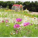 신흥근린공원 이미지