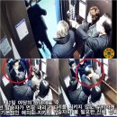 ■ 주호영 대표의 성추행 및 김종철 대표의 성추행 논란 이미지