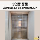 이든반려견 문화센터 | 아산 중문 업체 3연동 중문 설치 반려견 소음 줄이는 방법