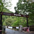 야영장(2) 이미지