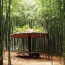 바람이 머무는 곳 이미지