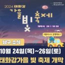 태화강 빛 축제 이미지