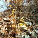 칠원산성 이미지