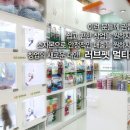 하나애견샵 이미지